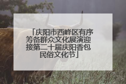庆阳市西峰区有序筹备群众文化展演迎接第二十届庆阳香包民俗文化节