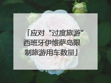 应对“过度旅游” 西班牙伊维萨岛限制旅游用车数量