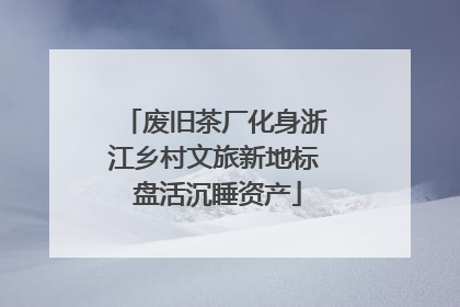 废旧茶厂化身浙江乡村文旅新地标 盘活沉睡资产