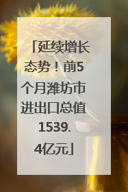 延续增长态势！前5个月潍坊市进出口总值1539.4亿元