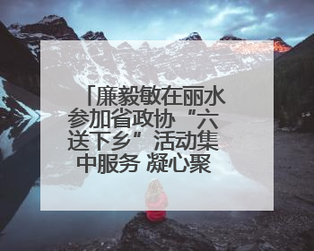 廉毅敏在丽水参加省政协“六送下乡”活动集中服务 凝心聚力增进民生福祉推进共同富裕