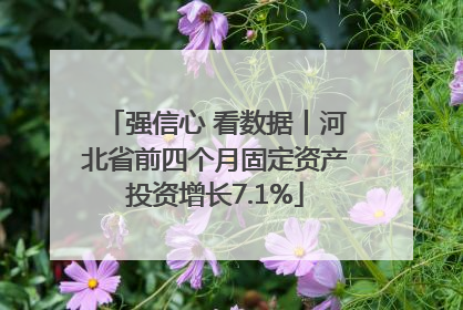 强信心 看数据丨河北省前四个月固定资产投资增长7.1%