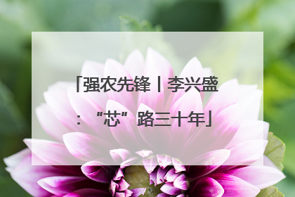 强农先锋丨李兴盛：“芯”路三十年