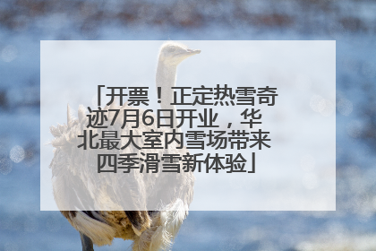 开票！正定热雪奇迹7月6日开业，华北最大室内雪场带来四季滑雪新体验