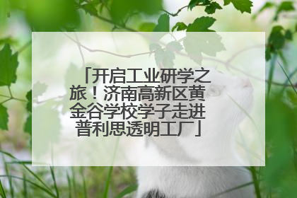 开启工业研学之旅！济南高新区黄金谷学校学子走进普利思透明工厂