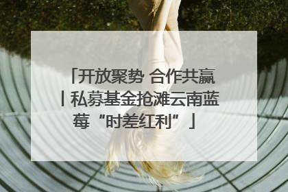 开放聚势 合作共赢丨私募基金抢滩云南蓝莓“时差红利”