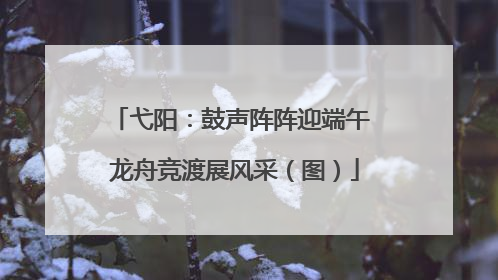 弋阳：鼓声阵阵迎端午 龙舟竞渡展风采（图）