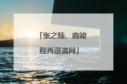 张之臻、商竣程再退温网