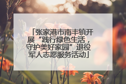 张家港市南丰镇开展“践行绿色生活，守护美好家园”退役军人志愿服务活动