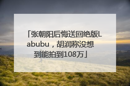 张朝阳后悔送回绝版Labubu，胡润称没想到能拍到108万