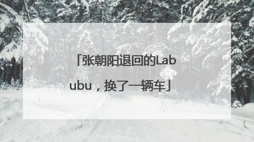 张朝阳退回的Labubu，换了一辆车