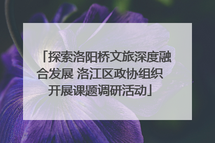 探索洛阳桥文旅深度融合发展 洛江区政协组织开展课题调研活动