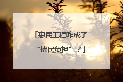 惠民工程咋成了“扰民负担”？