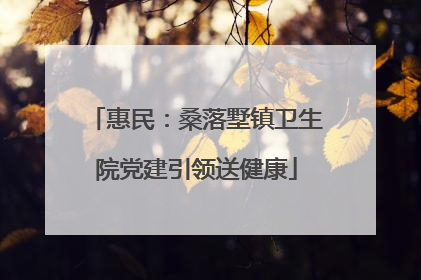 惠民：桑落墅镇卫生院党建引领送健康