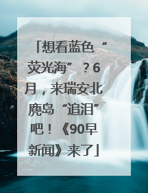 想看蓝色“荧光海”？6月，来瑞安北麂岛“追泪”吧！《90早新闻》来了