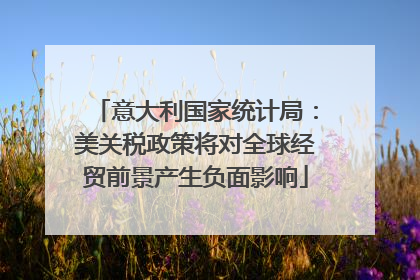 意大利国家统计局：美关税政策将对全球经贸前景产生负面影响