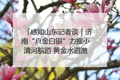 感知山东记者谈｜济南“真金白银”力推小清河航道 黄金水道激活区域经济新动能