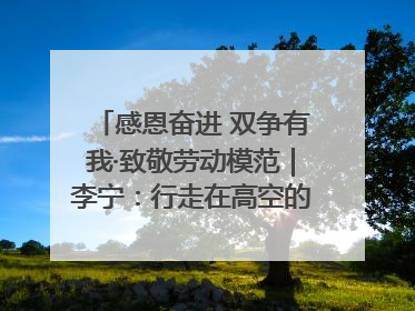 感恩奋进 双争有我·致敬劳动模范｜李宁：行走在高空的“电网卫士”