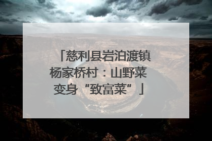 慈利县岩泊渡镇杨家桥村：山野菜变身“致富菜”