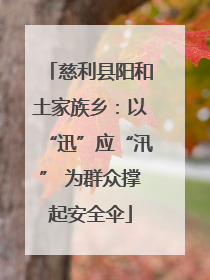 慈利县阳和土家族乡：以“迅”应“汛” 为群众撑起安全伞
