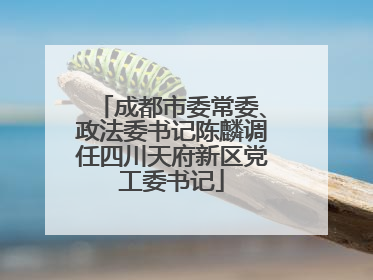 成都市委常委、政法委书记陈麟调任四川天府新区党工委书记