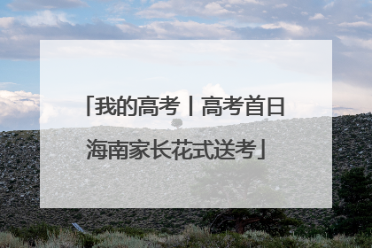 我的高考丨高考首日 海南家长花式送考