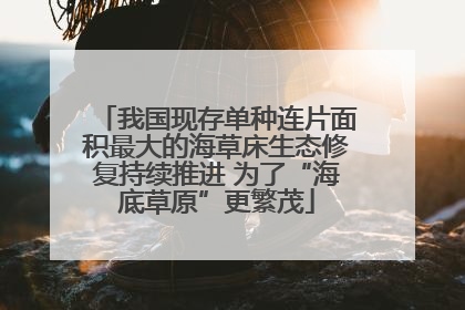 我国现存单种连片面积最大的海草床生态修复持续推进 为了“海底草原”更繁茂
