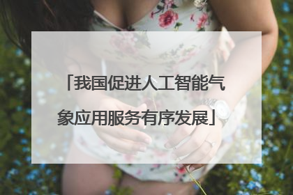 我国促进人工智能气象应用服务有序发展
