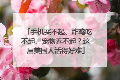 手机买不起、炸鸡吃不起、宠物养不起？这届美国人活得好难