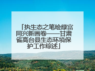 执生态之笔绘绿富同兴新画卷——甘肃省高台县生态环境保护工作综述