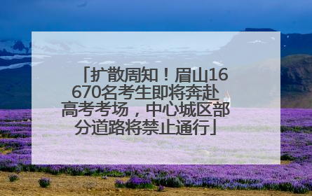 扩散周知！眉山16670名考生即将奔赴高考考场，中心城区部分道路将禁止通行