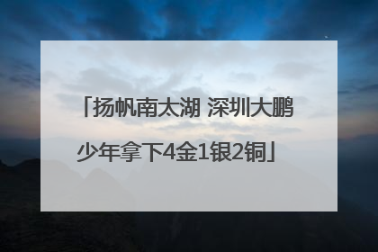 扬帆南太湖 深圳大鹏少年拿下4金1银2铜