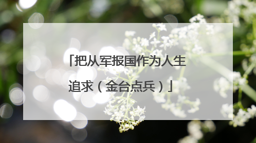 把从军报国作为人生追求（金台点兵）