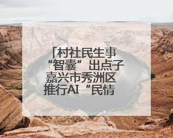 村社民生事 “智囊”出点子 嘉兴市秀洲区推行AI“民情一本账”