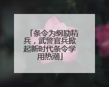 条令为纲励精兵，武警官兵掀起新时代条令学用热潮
