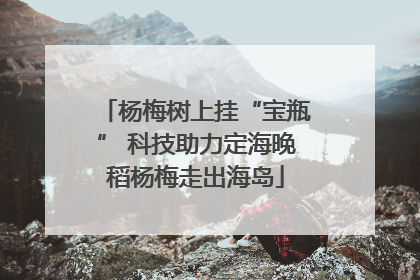 杨梅树上挂“宝瓶” 科技助力定海晚稻杨梅走出海岛