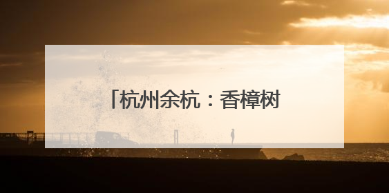 杭州余杭：香樟树下话苕溪 青年合力共建未来坝上生活