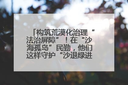 构筑荒漠化治理“法治屏障”！在“沙海孤岛”民勤，他们这样守护“沙退绿进”的生态奇迹