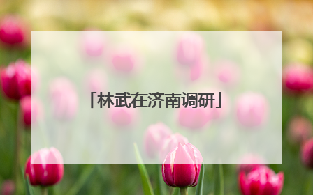 林武在济南调研