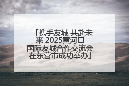 携手友城 共赴未来 2025黄河口国际友城合作交流会在东营市成功举办