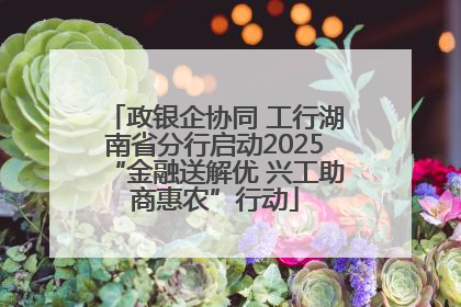 政银企协同 工行湖南省分行启动2025“金融送解优 兴工助商惠农”行动