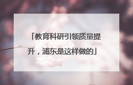 教育科研引领质量提升，浦东是这样做的