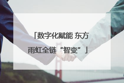 数字化赋能 东方雨虹全链“智变”