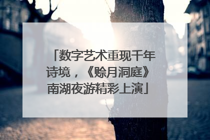 数字艺术重现千年诗境，《赊月洞庭》南湖夜游精彩上演