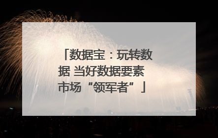 数据宝：玩转数据 当好数据要素市场“领军者”