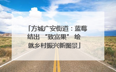 方城广安街道：蓝莓结出 “致富果” 绘就乡村振兴新图景