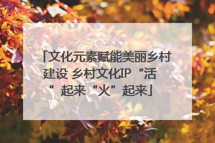 文化元素赋能美丽乡村建设 乡村文化IP“活”起来“火”起来