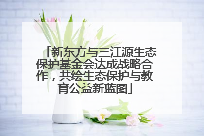 新东方与三江源生态保护基金会达成战略合作，共绘生态保护与教育公益新蓝图