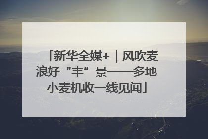 新华全媒+｜风吹麦浪好“丰”景——多地小麦机收一线见闻