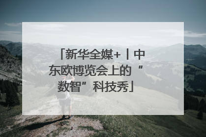 新华全媒+丨中东欧博览会上的“数智”科技秀